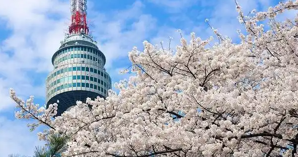 韩国语言速成：10句韩语让你秒变购物达人缩略图