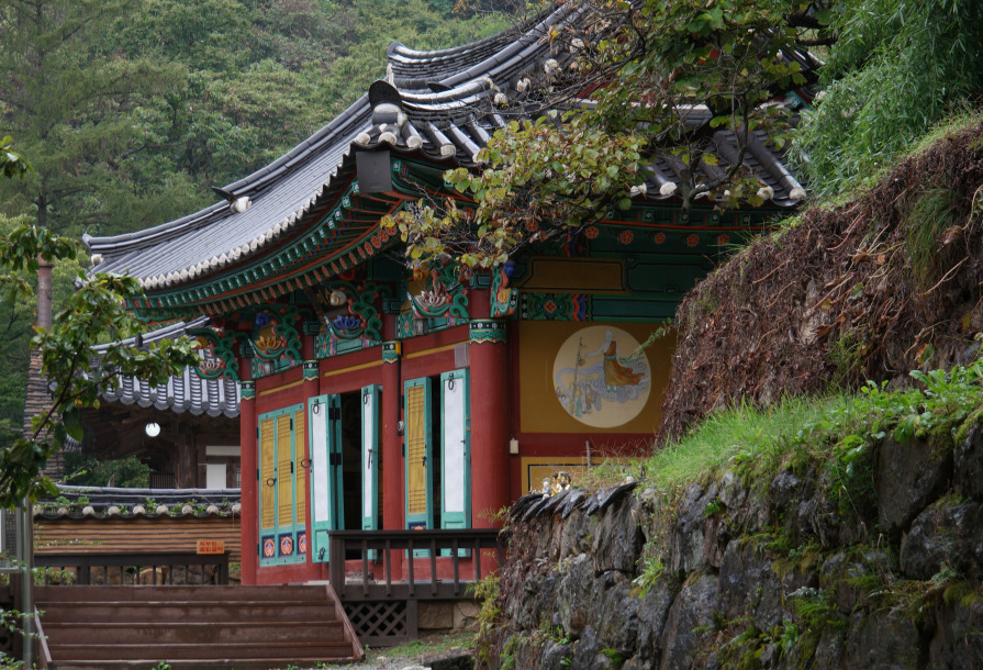 韩国马术体验：在京畿道骑马穿越向日葵花田缩略图