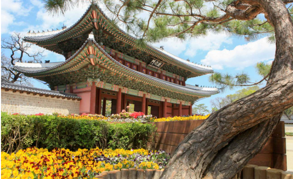 韩国网络攻略：KT Wi-Fi蛋VS SKT数据SIM卡选择缩略图