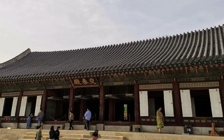 韩国网络攻略：KT Wi-Fi蛋VS SKT数据SIM卡选择缩略图