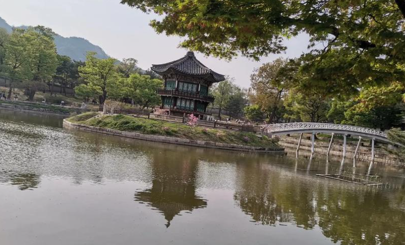 韩国语言速成：10句韩语让你秒变购物达人缩略图