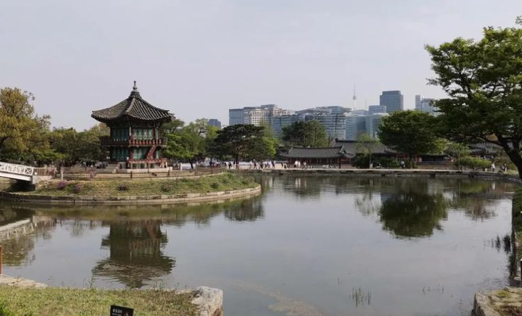 韩国艺术村探秘：梨泰院街画与釜山甘川洞彩绘对比缩略图