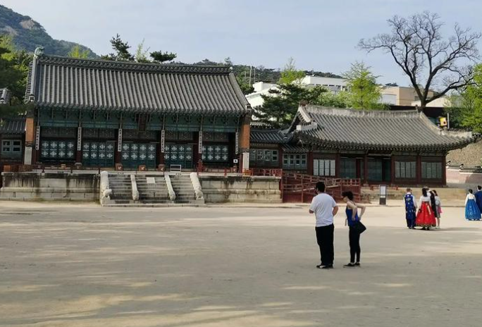 韩国马术体验：在京畿道骑马穿越向日葵花田缩略图