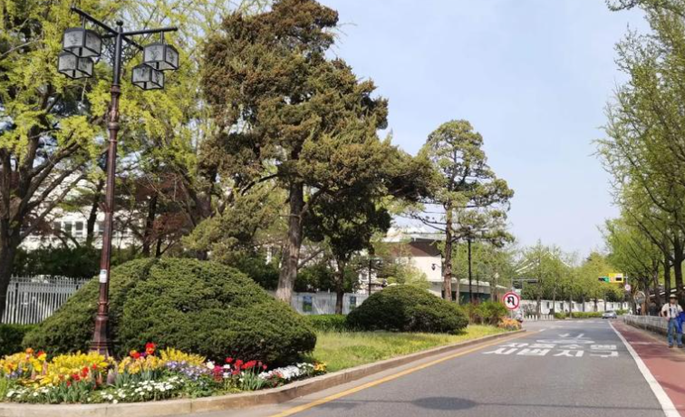 韩国环保倡议：参与首尔垃圾分类与限塑令实践缩略图