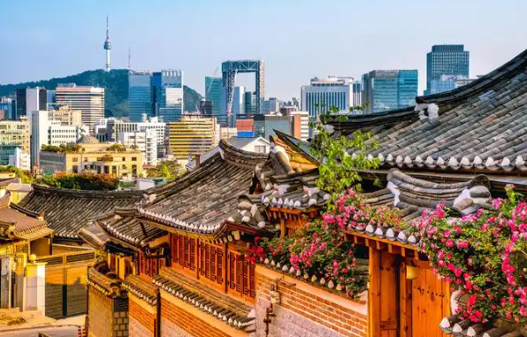 韩国马术体验：在京畿道骑马穿越向日葵花田缩略图