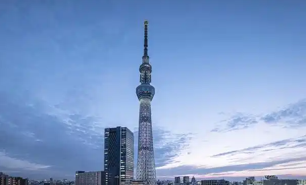 韩国充电指南：两脚插头与变压器使用全解析缩略图