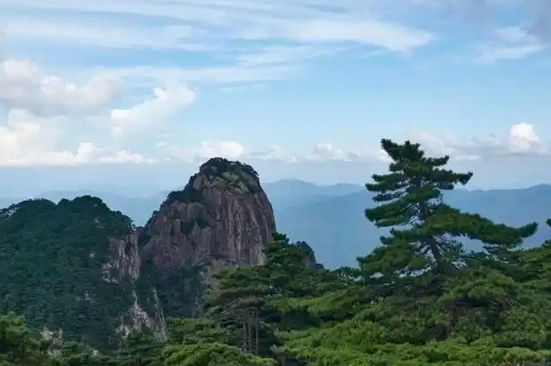 菌子季生存指南！野生菌火锅+中毒预防缩略图