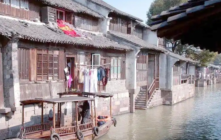 重庆宠物酒店测评：来福士+解放碑+观音桥宠物寄养服务缩略图