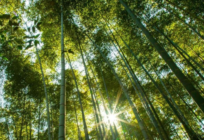 VR全景张家界：虚拟登山+溶洞探险+民俗体验缩略图