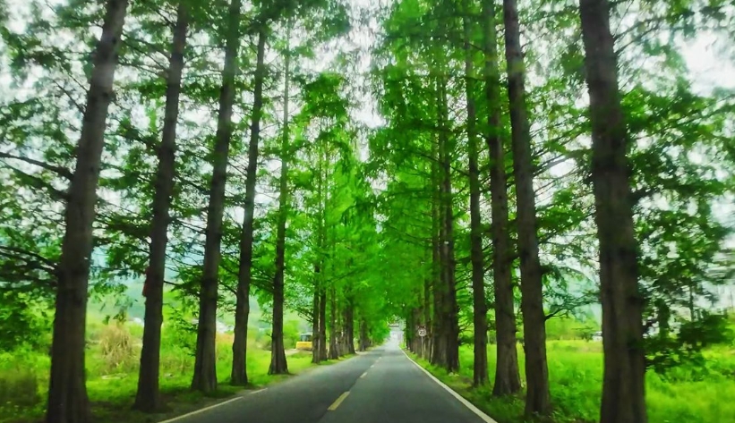 骑行爱好者：洱海生态廊道+抚仙湖环湖缩略图