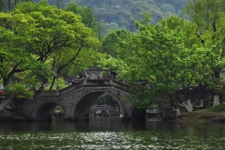 重庆医美体验：华美+当代+时光整形医院服务对比缩略图