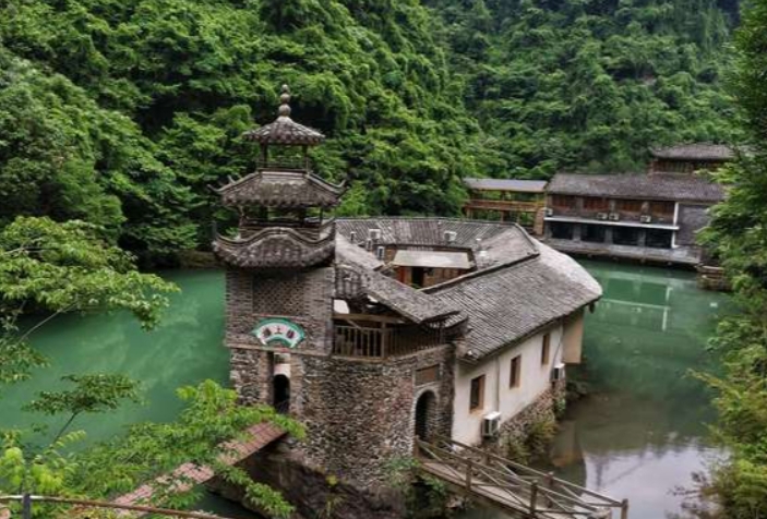 重庆菜市场砍价指南：毛肚+黄喉+郡花新鲜度辨别话术缩略图