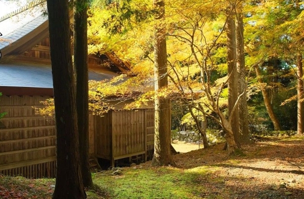 熊野古道徒步攻略：入门段路线+神社参拜礼仪缩略图