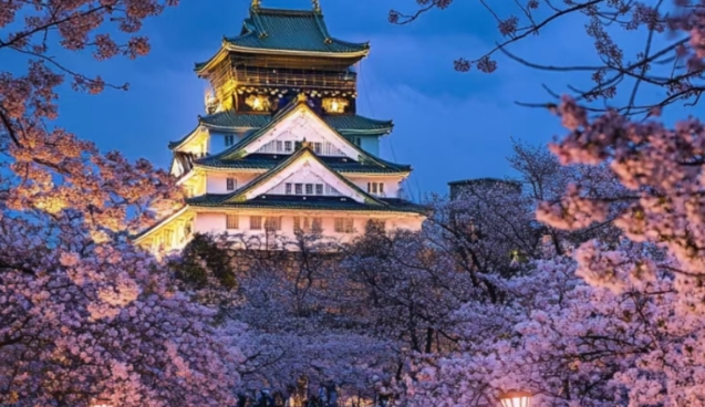 日本邮轮攻略：东京-大阪出发+冲绳-北海道航线推荐缩略图