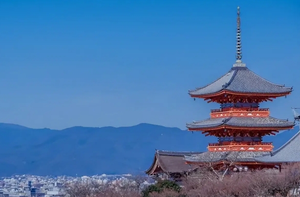 日本越后妻有大地艺术祭：草间弥生南瓜+农屋改造体验缩略图
