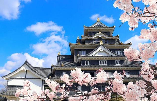 京都红叶狩：永观堂夜枫+高台寺灯光秀双路线缩略图