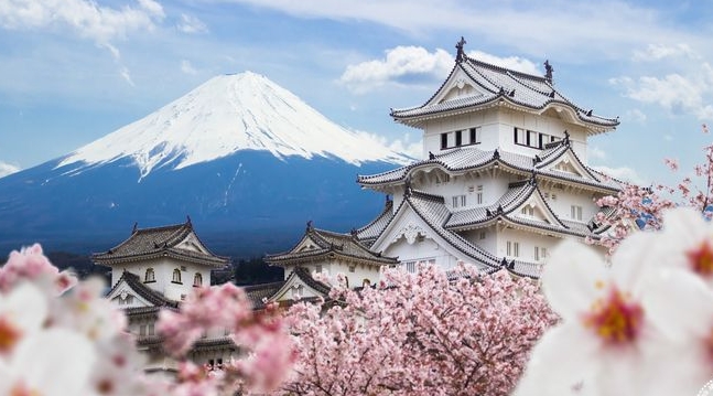 日本萤火虫秘境：长野县上高地VS冈山县后乐园缩略图