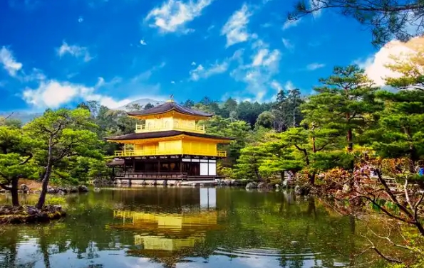 日本银发族旅行：关西机场轮椅租赁+温泉酒店无障碍设施缩略图